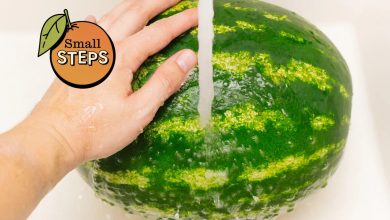 Wash Your Watermelon, Will this Airport Exercise and Set Your AC to this Temperature – plus 10 More Health Tips to Help A Great Week – ryan