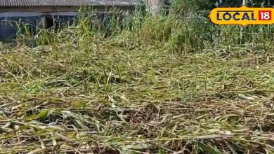 Crops ruined by heavy rain … Farmers will get compensation, this work must be done!