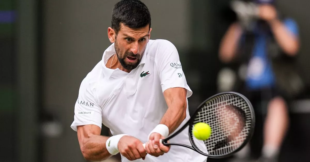 Novak Djokovic’s favourtite snack Can ‘Support Weight Loss and Curb Cravings’ – ryan