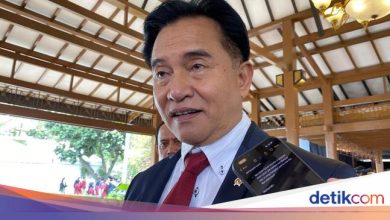 Yusril: The independent team can work, says the brain behind the demo ricuh