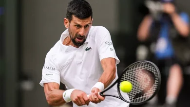 novak-djokovic’s-favourtite-snack-can-‘reinforce-weight-loss-and-curb-cravings’