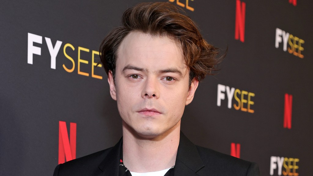 charlie-heaton-solid-in-netflix’s-newfoundland-itsy-bitsy-series