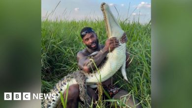 US Influencer Mike Holston Investigated Over Wild Croc Wrestling – ryan