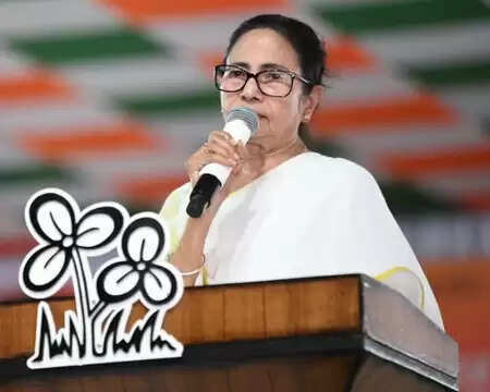 Mamta Banerjee wished on Hindi Day, the aforementioned steps taken for Hindi speakers