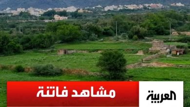مشاهد جوية فاتنة من تهامة بللسمر في منطقة عسير جنوب السعودية وهي تكتسي باللون الأخضر بعد هطول…