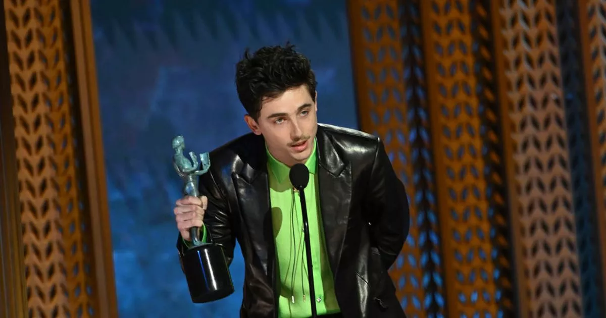 timothee-chalamet’s-viral-speech-proves-being-a-‘strive-laborious’-is-frigid-all-over-again