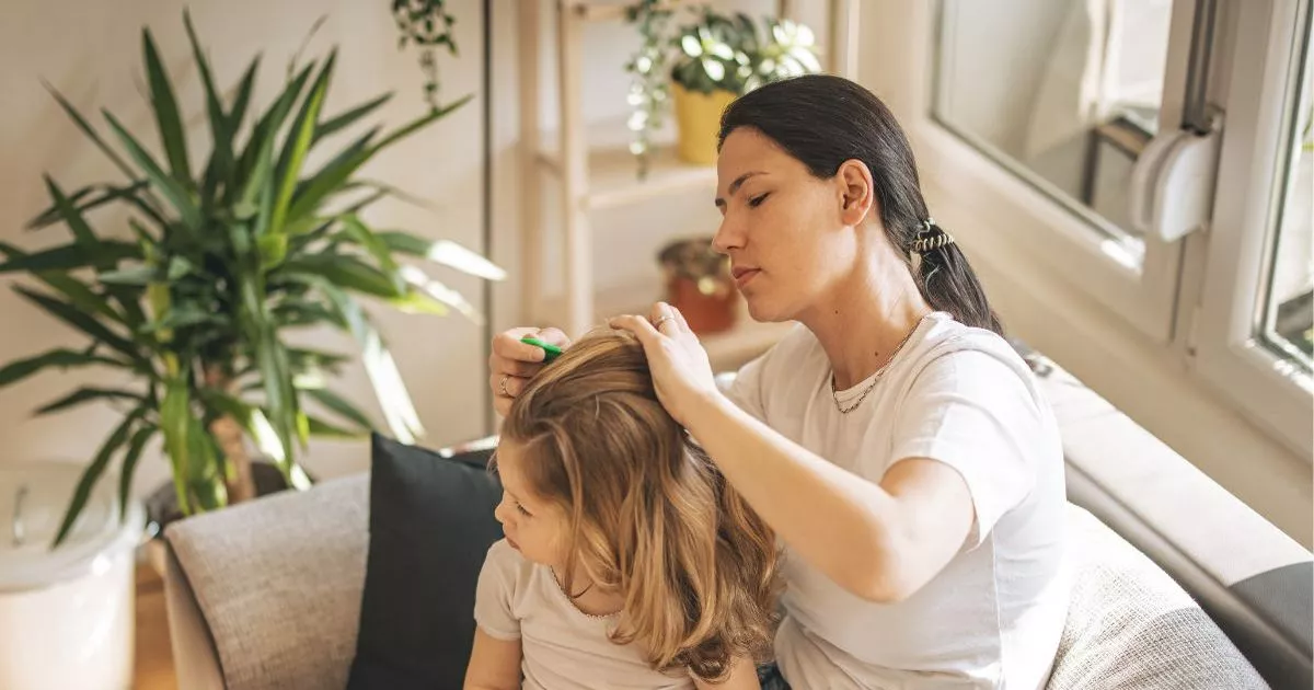 simple-7-product-will-establish-at-bay-aid-to-faculty-headlice-acciting-to-gps