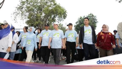 Chairman of the DPD encourages the regional government to develop innovation of an integrated food system