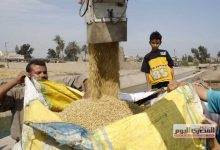 With a ton of barley? – ryan