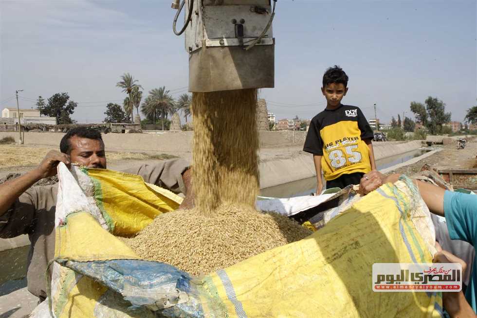 with-a-ton-of-barley?