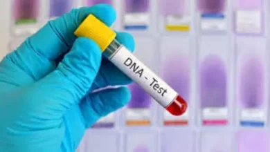 The hospital staff in Mohali congratulated the baby boy, later said that the daughter would open, now the Raj will open out of the test -staff at Mohali Hospital congratulated the birth of a baby boy later that it is a girl who will be no DNA test