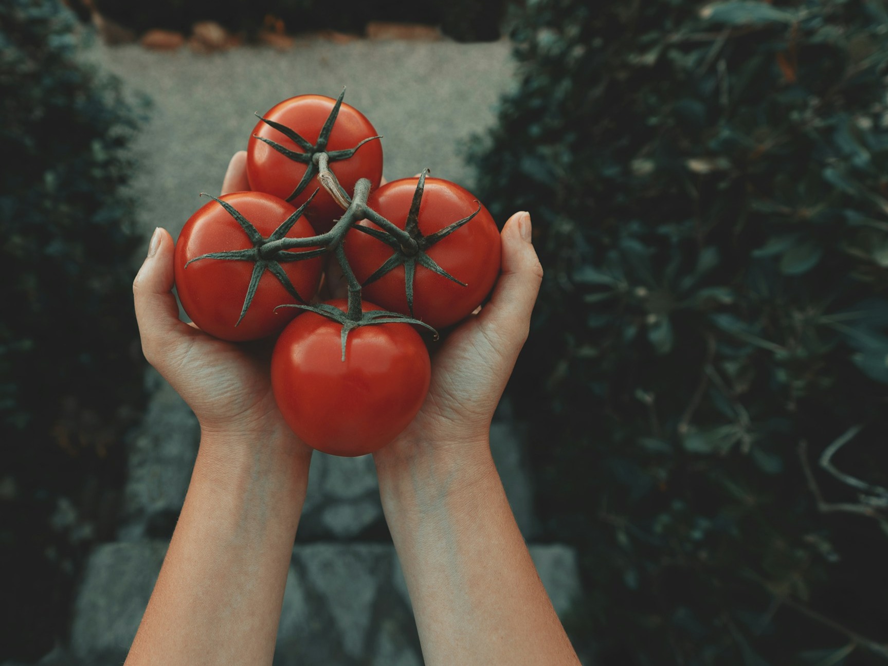Tomatoes will shine the skin like that!