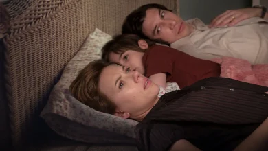records-from-the-film-“marriage-tale”-to-effort-wolves-within-the-united-states