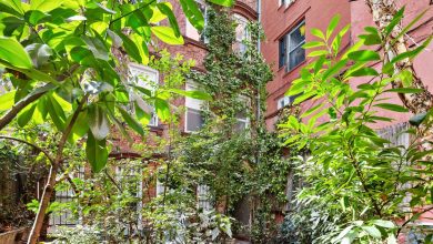 a-secret-backyard-in-the-guts-of-nolita