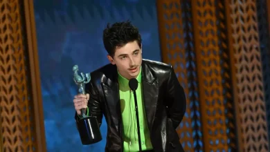 timothee-chalamet’s-viral-speech-proves-being-a-‘try-arduous’-is-cool-again