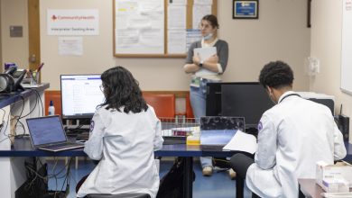 how-chicago-clinical-doctors-are-encourage-telehealth-at-some-stage-in-the-expective-ice-surge