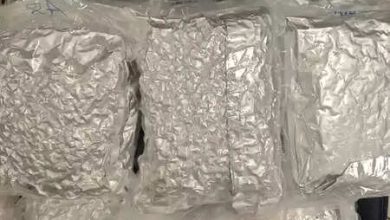 More than 39 kg of hydroponic weeds seized at the Mumbai airport, three arrested