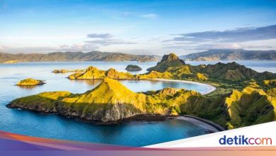 Artha Graha Group talked about the news of Komodo National Park