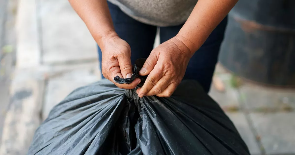 man-use-bin-bag-and-string-map-to-assist-wasps-faraway-from-his-house