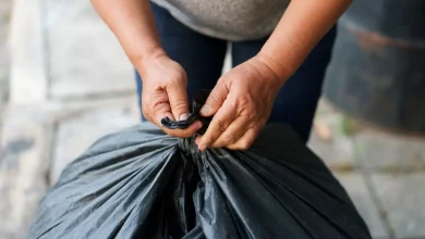 man-spend-bin-bag-and-string-solution-to-preserve-wasps-some-distance-off-from-his-dwelling