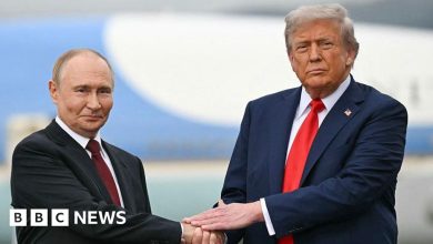 Trump lobbies eu for 100% tariffs on China and India to Press Putin – ryan