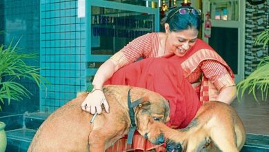 How the care of stray dogs and cats creates a friendly corporate culture