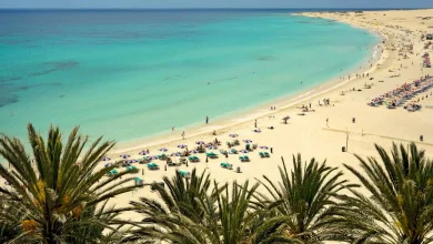 Canary Island’s ‘Struggle’ Laid Bare As Tourist Numbers soar – Its Not Lanzarote – ryan