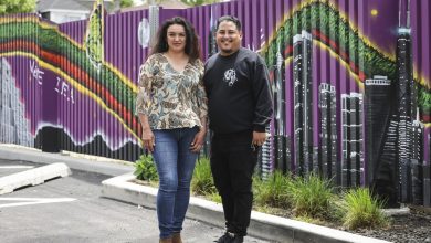chicago-murals:-the-anecdote-of-immigrants’-journeys-are-steered-at-gage-park-center