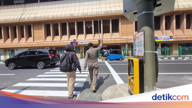 What is pelican cross and the difference with Zebra Cross?