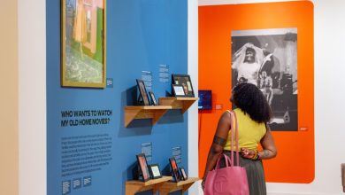 what-home-motion-photos-point-to-about-existence-on-chicago’s-south-aspect
