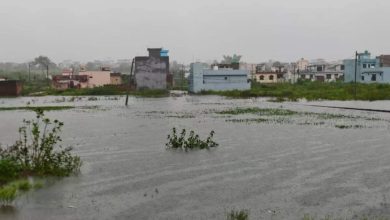 The life affected as a result of rain for three consecutive days in Raiwala has upset people due to weakening