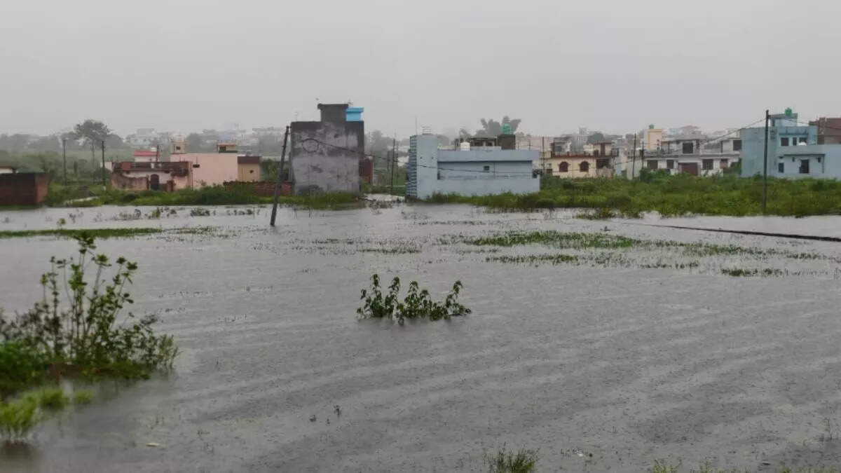 The life affected as a result of rain for three consecutive days in Raiwala has upset people due to weakening