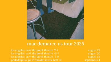 Mac Demarco Announces New Album Guitar, Shares Video for New Song “Home”: Watch – ryan