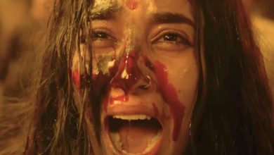 The Bengal File Box Office Collection Day 11: Vivek Agnihotri’s Film Display Reduced in India, and Earnings Down Big