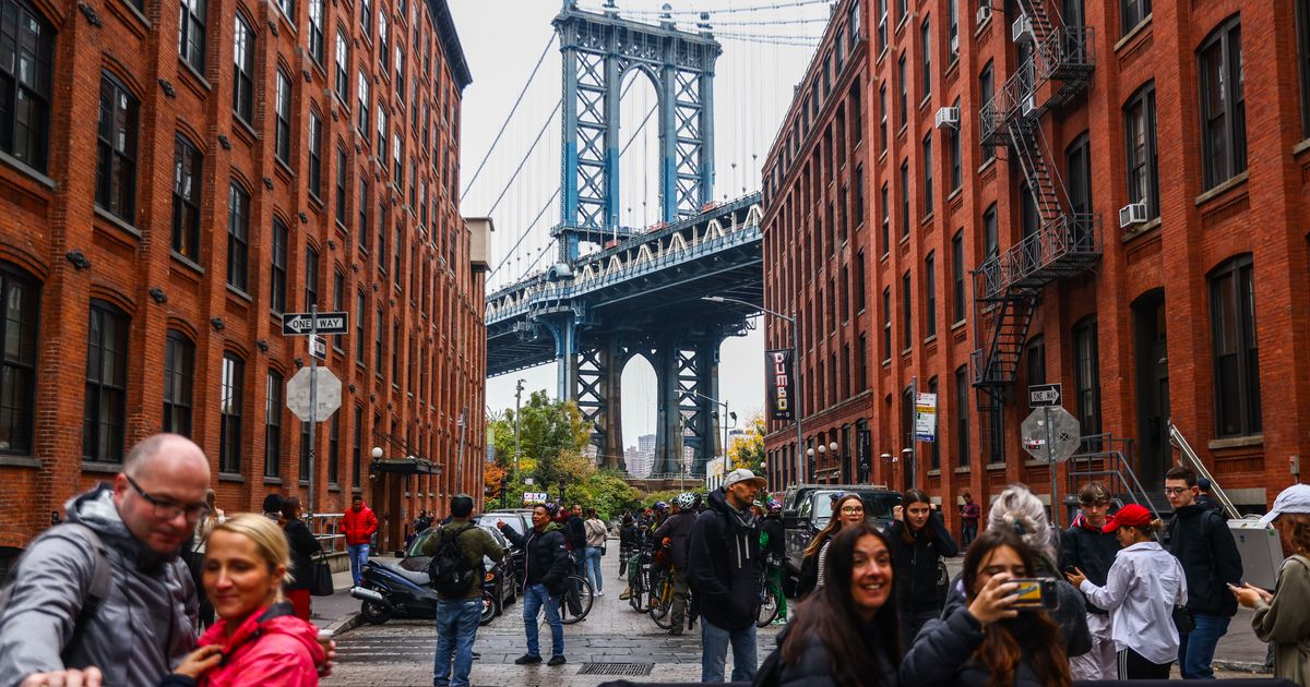 rental-hunters-attempting-to-spoil-out-nyc-squawk-creators