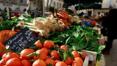 A study that reveals unexpected benefits for frozen vegetables and fruits