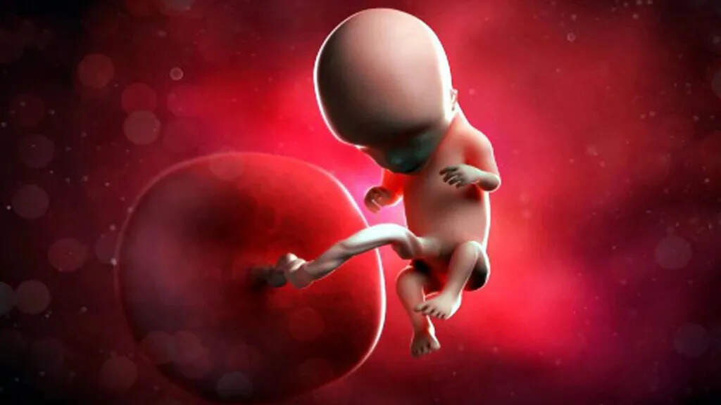 Toilet pipe, 6 -month fetus … will remove your life, the story of the smallest killer in the world