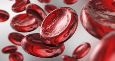 5 أطعمة نباتية تساعد على تعزيز الهيموجلوبين بشكل طبيعي