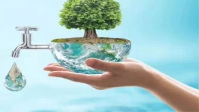 Jharkhand’s water level better than Amrit Sarovars, improvement in the revenue of farmers – Jharkhand achieves the third rank in India for an increased dam area