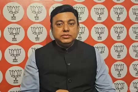 GST Reform self sufficient to India: Zafar Islam