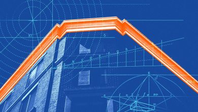 The Panic About The New Pepet-InSpection Law – ryan