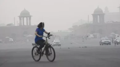 Mercury in Delhi’s air, most harmful to health in South Asia -NCR Delhi air pollution Mercury levels are the highest in South Asia New -Delhi City News