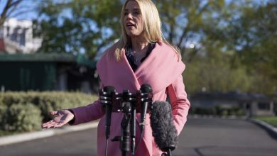 Legal Experts Call DOJ LAWSUIT AGAINST BOSTON ‘Unconstitutional’ – ryan