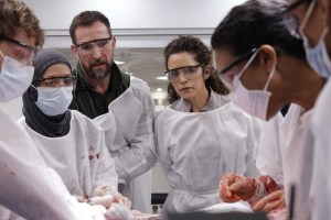 ‘The Pitt,’ ‘The Studio’ & ‘Adolescence’ Lead Field – ryan