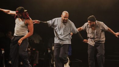 Tarell Alvin McCraney’s ‘The Brothers Size’ – ryan