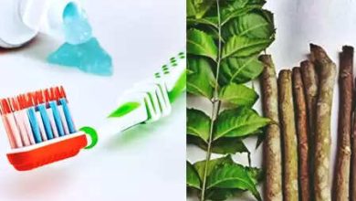 Use datun instead of a toothbrush! Wonderful benefits are called in Ayurveda