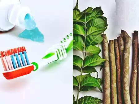 Use datun instead of a toothbrush! Wonderful benefits are called in Ayurveda