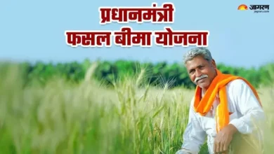 News: Negligence of banks in crop insurance, loss of farmers, agriculture department has been reporting – Crop insurance negligence in banks LKO report and explanation that is being sought