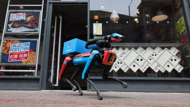 meet-‘domidog’:-domino’s-recent-robot-dogs-holding-your-pizza-from-seagulls