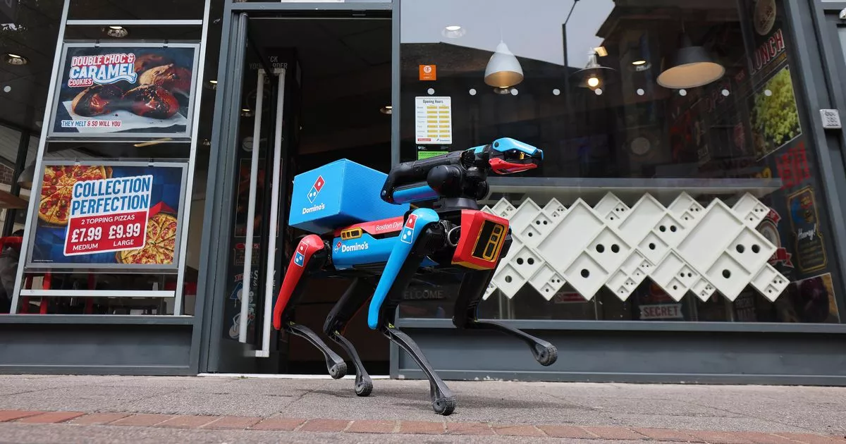 meet-‘domidog’:-domino’s-recent-robot-dogs-holding-your-pizza-from-seagulls